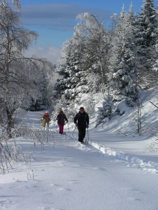Raquette à neige